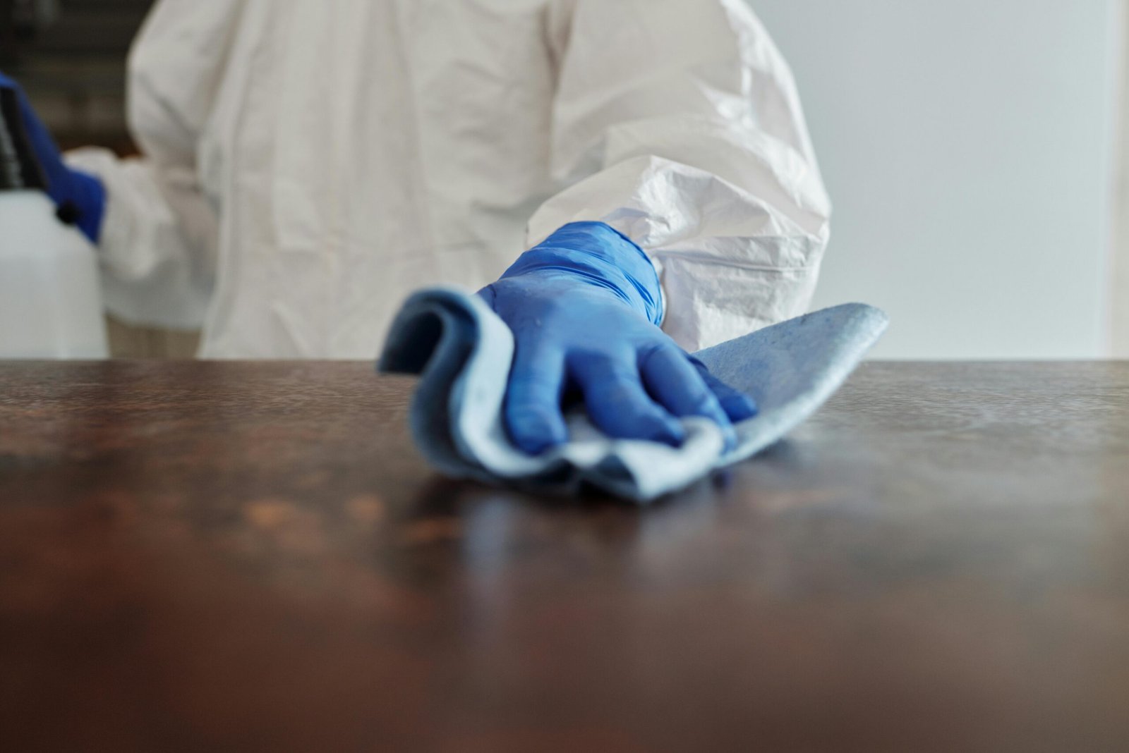Clean Remove Location Wicker Park Cleaning Services - Rover